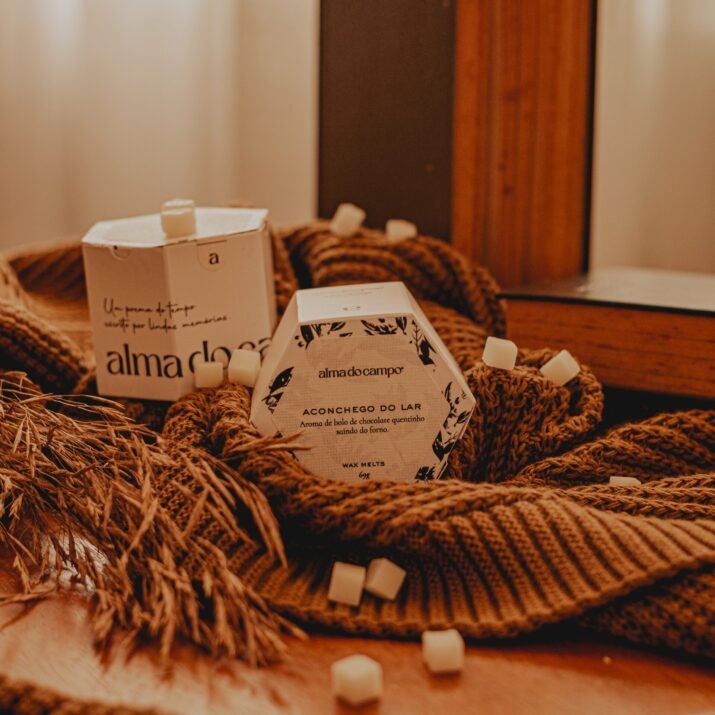 Wax Melts 69g – Aconchego do Lar - Imagem 2