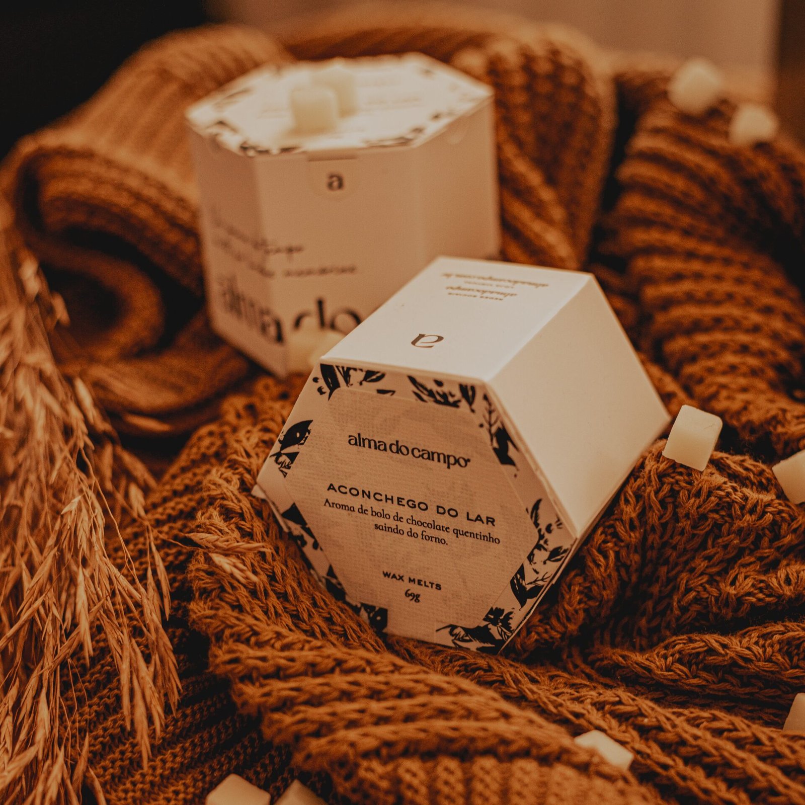 Wax Melts 69g – Aconchego do Lar - Imagem 3