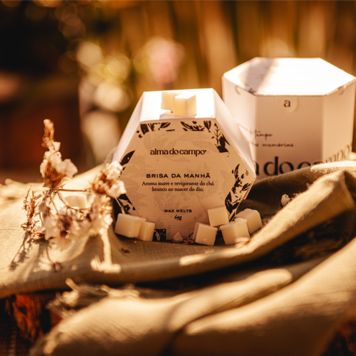 Wax Melts 69g – Brisa da Manhã - Imagem 2