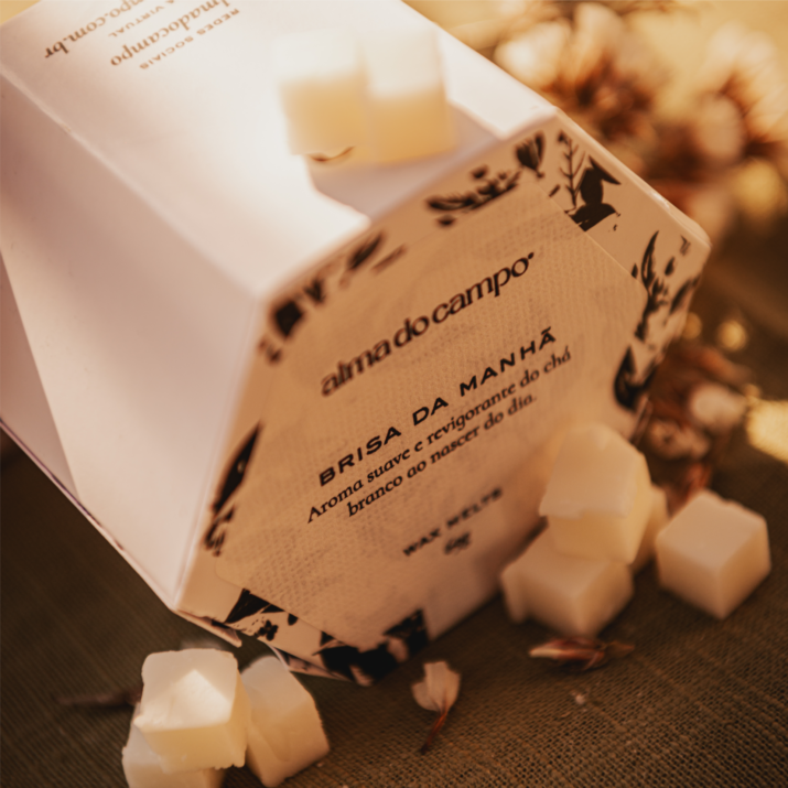 Wax Melts 69g – Brisa da Manhã - Imagem 3