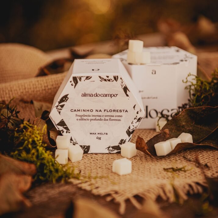 Wax Melts 69g – Caminho na Floresta - Imagem 2