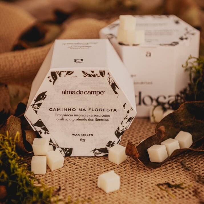 Wax Melts 69g – Caminho na Floresta - Imagem 3
