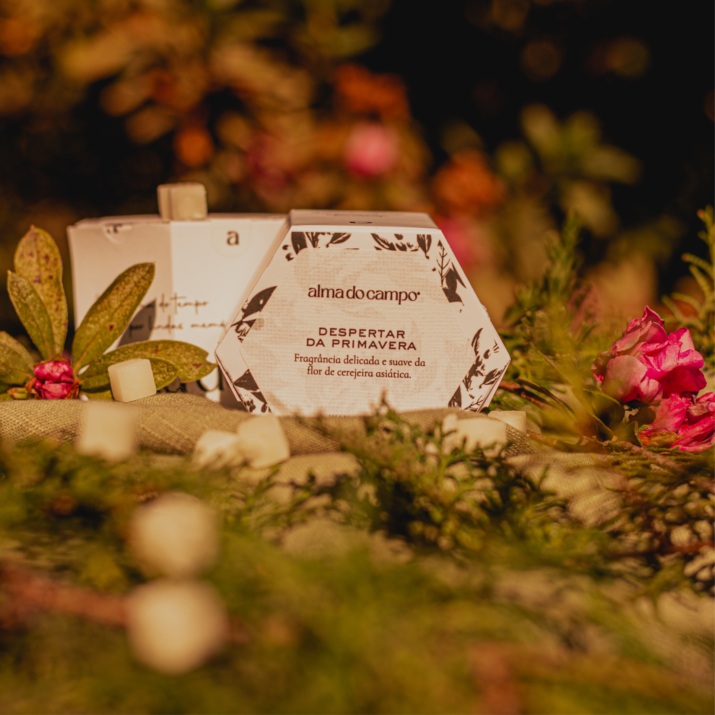 Wax Melts 69g – Despertar da Primavera - Imagem 2