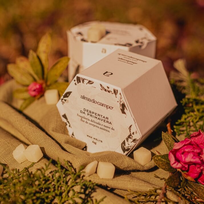 Wax Melts 69g – Despertar da Primavera - Imagem 3