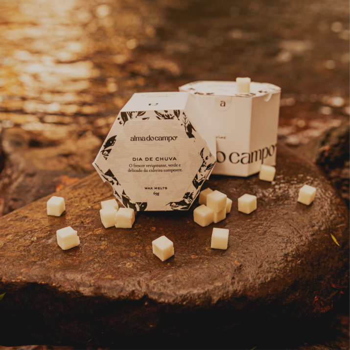 Wax Melts 69g – Dia de Chuva - Imagem 2