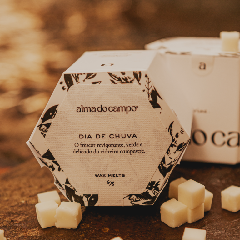 Wax Melts 69g – Dia de Chuva - Image 3