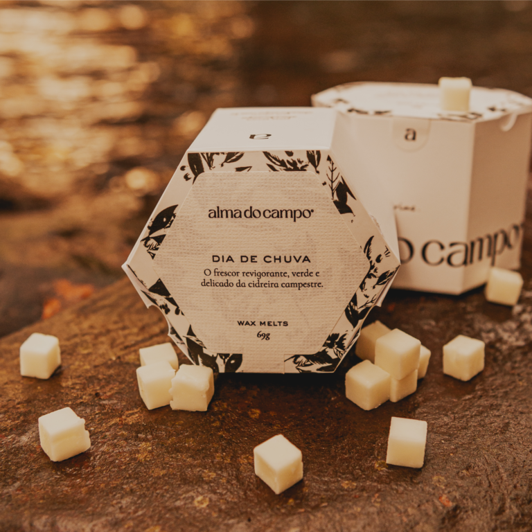 Wax Melts 69g – Dia de Chuva