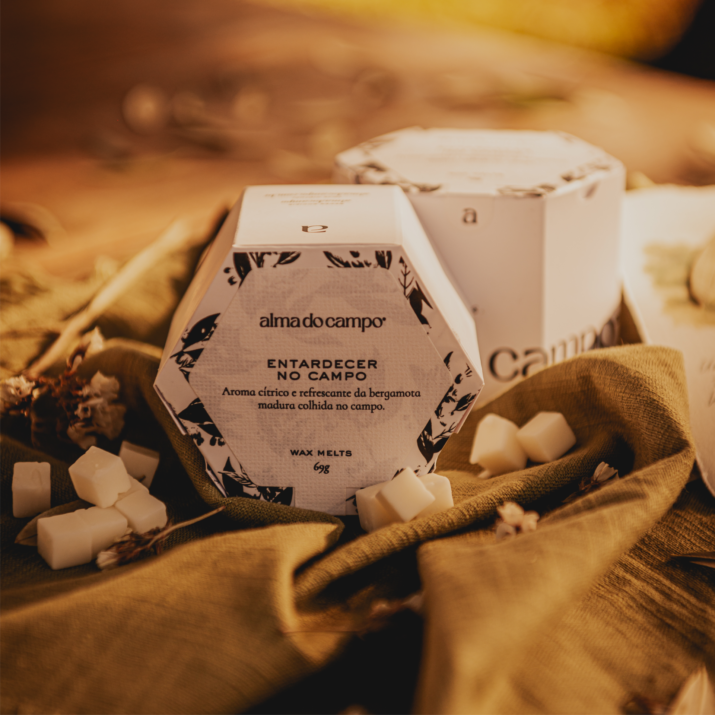 Wax Melts 69g – Entardecer no Campo - Imagem 2
