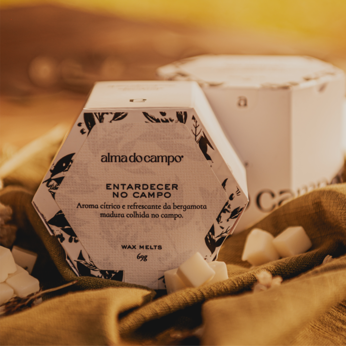 Wax Melts 69g – Entardecer no Campo - Imagem 3