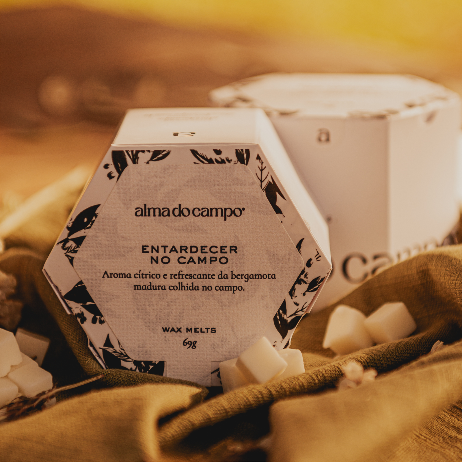 Wax Melts 69g – Entardecer no Campo - Imagem 3