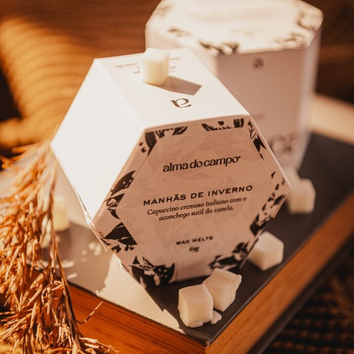 Wax Melts 69g – Manhãs de Inverno - Imagem 3