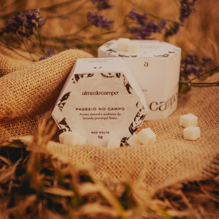 Wax Melts 69g – Passeio no Campo - Imagem 2