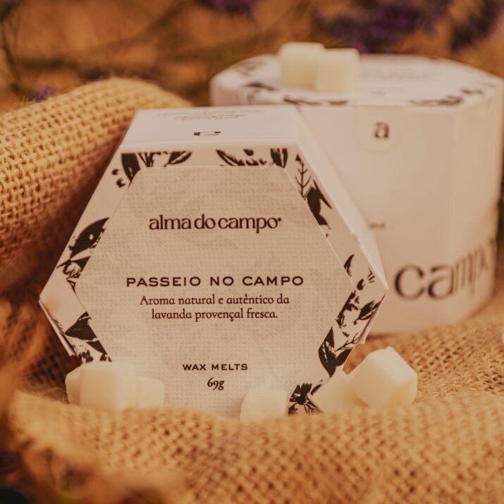 Wax Melts 69g – Passeio no Campo - Imagem 3