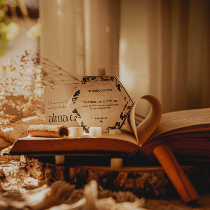 Wax Melts 69g – Tardes de Outono - Imagem 2