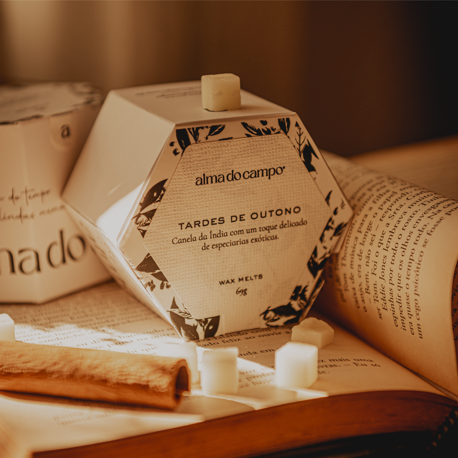 Wax Melts 69g – Tardes de Outono - Imagem 3